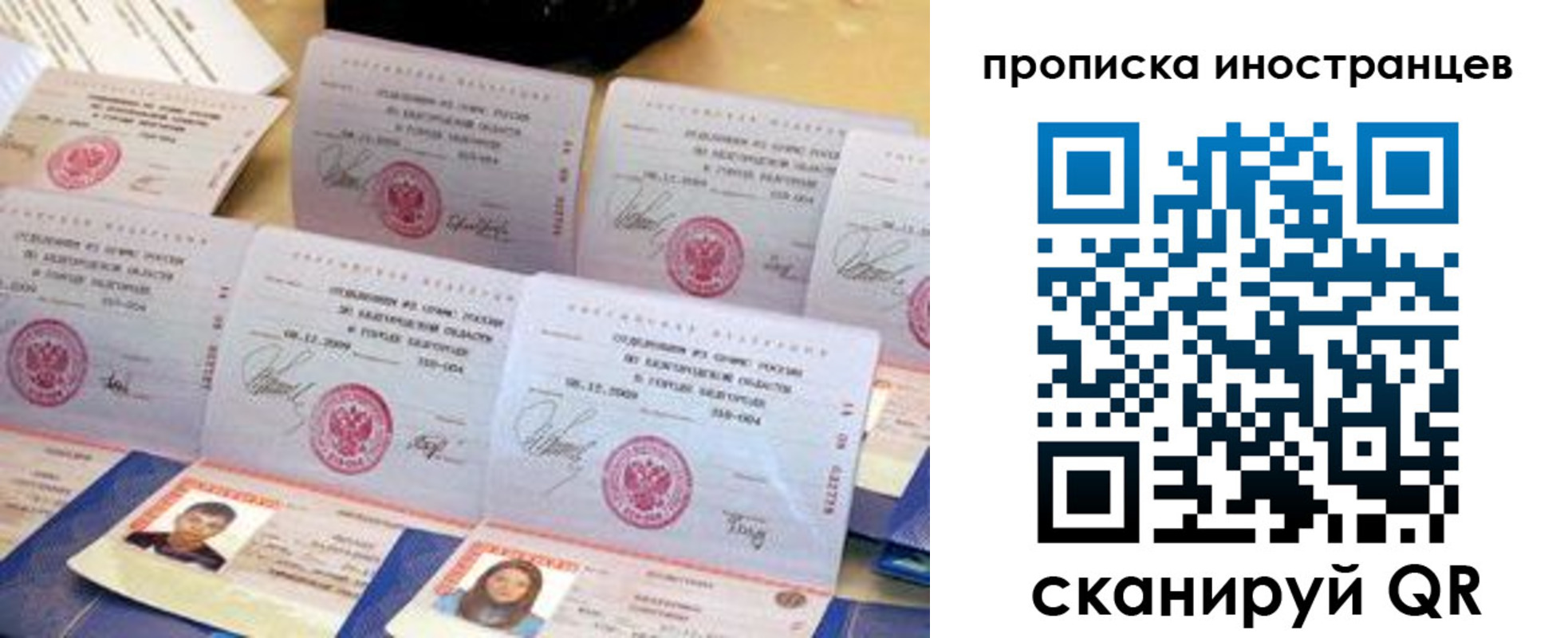 прописка для школы в Мончегорске