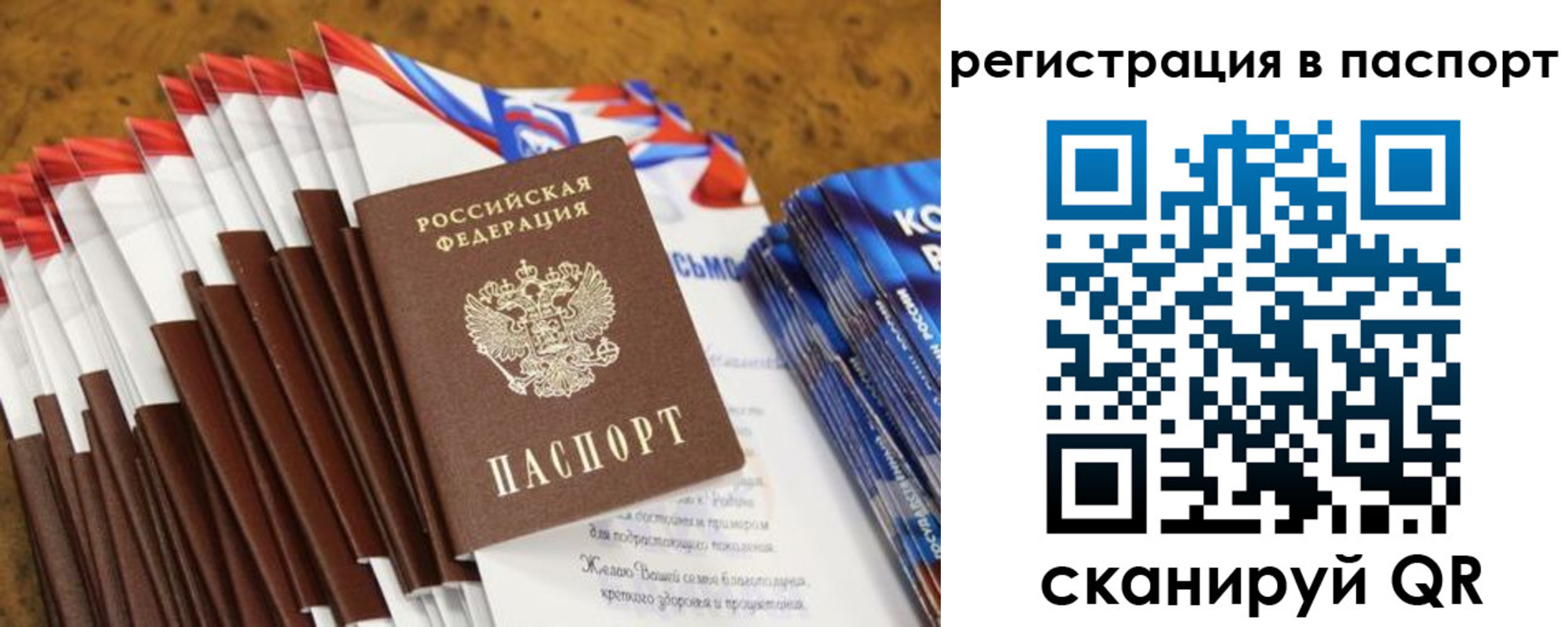 временная регистрация собственник в Мончегорске